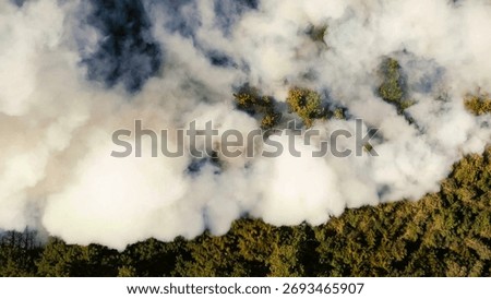 Forest Fire Drone View. Severe wildfire. Natural wildfire. Wildfire background