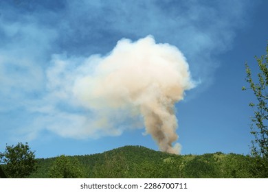 Forest fire with a large cloud of smoke rising through the sky 