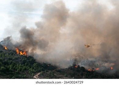 Forest fire with large flames and lots of smoke in the air and a small firefighting plane dropping water on the flames