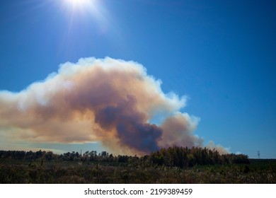 Forest fire large smoke clouds distant view in rural Georgia