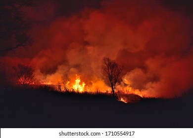 The Forest Fire At Night.