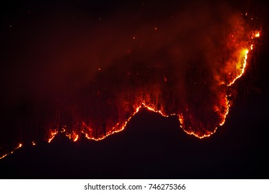 A Forest Fire At Night.