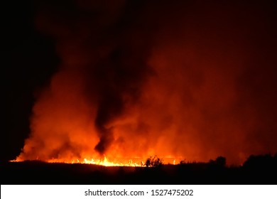 Forest Fire At Night. Big Cloud Of Smoke From A Burning Forest