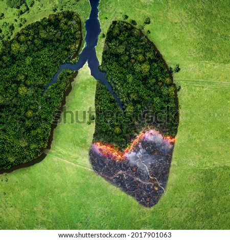 Forest and fire on a green field, top view. Trees in the form of lungs, the health of planet earth. Concept of environmental pollution. Lungs smokers creative idea