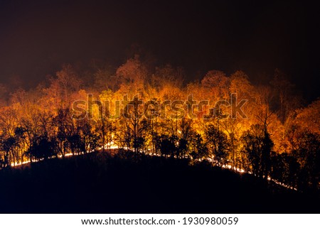 A forest fire on the mountain at night Causing toxic dust