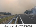 Forest fire on the road
