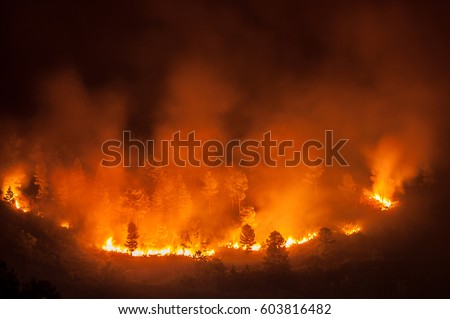 Forest fire, several hectares of pine trees burned during the dry season in June 2013 in Tele-Samosir Lake Toba (Danau Toba) North Sumatra (Sumatera Utara) Indonesia