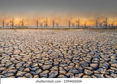 Forest Fire, Wildfire Burning Tree In  Orange And Blue Color At Night,air Pollution Cause Of Dust PM2.5, With Foreground Land With Dry And Cracked Ground. Desert,Global Warming Background