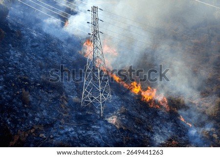 Forest fire. Wildfire burning trees in red color in the forest on mountain, in Uzundere, Karabaglar, Izmir, Turkiye. Forest fire near lamppost.