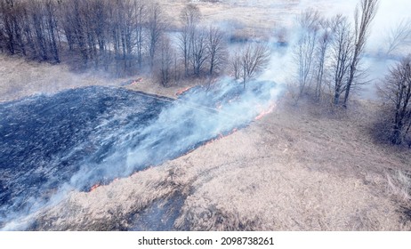 Forest Fire Wildfire At Day Time Near The River With Big Smoke