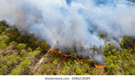 Forest fires are burning heavily in forests. - Powered by Shutterstock