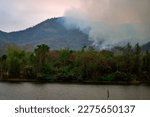 Forest fires are a problem every year during the dry season in Thailand.
