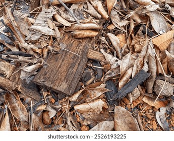 A forest floor covered in fallen leaves, twigs, and other natural debris. A weathered wooden plank rests on the ground amidst the scattered materials. - Powered by Shutterstock