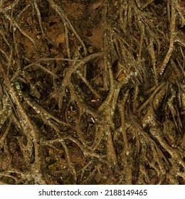 Forest floor with tree roots 