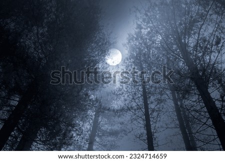 Similar – Frostige Dezembernacht. Der Mond scheint auf Obstbäume die im hohen Schnee stehen und im Eisnebel verschwinden.