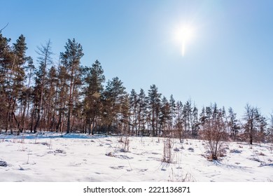 Forest Glade On A Winter Sunny Day, Winter Landscape.