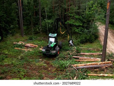 Forest Harvester During Sawing Trees In A Forest. Forestry Tree Harvester In Woodland On Clearing Forests. Clearcutting Logging Industry. Tree Cutting Machinery And Timber Equipment.