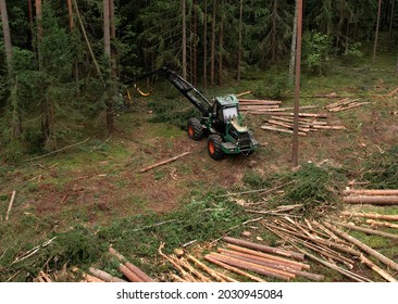 Forest Harvester During Sawing Trees In A Forest. Forestry Tree Harvester In Woodland On Clearing Forests. Clearcutting Logging Industry. Tree Cutting Machinery And Timber Equipment.