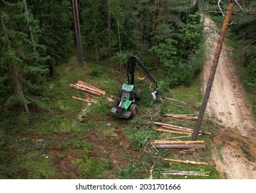 Forest Harvester During Sawing Trees In A Forest. Forestry Tree Harvester In Woodland On Clearing Forests. Clearcutting Logging Industry. Tree Cutting Machinery And Timber Equipment.