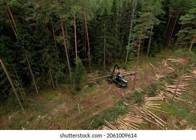 Forest harvester during sawing trees in a forest. Forestry tree harvester in woodland on clearing forests. Clearcutting logging industry. Tree cutting machinery and timber equipment. Soft focus. - Powered by Shutterstock