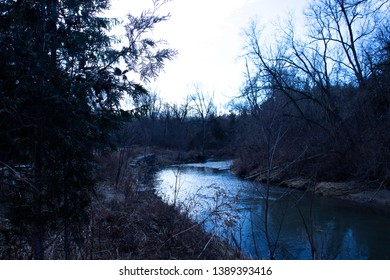 forest with a hidden river 