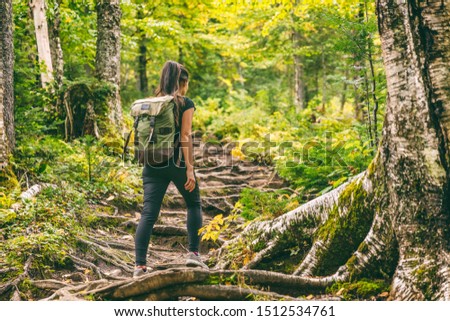 Forest hike trail hiker woman walking in autumn fall nature background in fall season. Hiking active people lifestyle wearing backpack exercising outdoors.