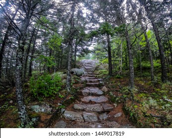 Forest Hiking Trail In Maine