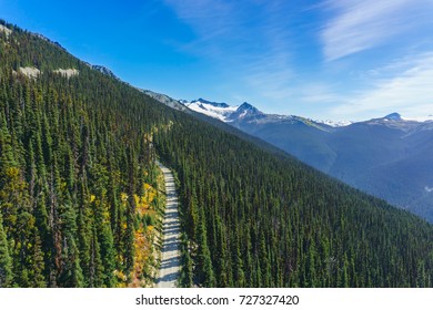 Forest And Hiking Trails On Blackcomb Mountain, British Columbia, Canada. Landscape Photography.