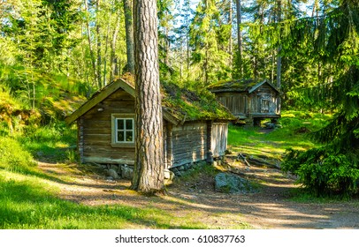 Forest Hut Camping. Forrest House