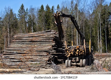 Forest industry. Operations for loading-unloading logging truck at felling (cutover area) and logging site (wood storage place). Wheel-mounted loader, round-timber grab. Series of images