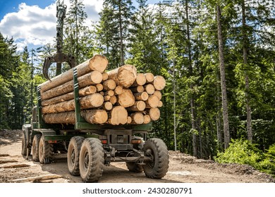 Forest industry. Truck loading wood in the forest. Loading logs onto a logging truck. Portable crane on a logging truck. Forestry tractors, trucks and loggers machinery. Felling of trees, cut trees. - Powered by Shutterstock