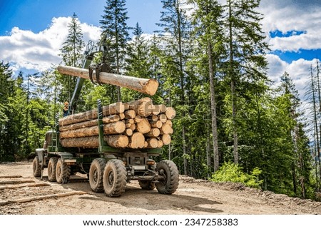 Forest industry. Wheel-mounted loader, timber grab. Felling of trees,cut trees , forest cutting area, forest protection concept. Lumberjack with modern harvester working in a forest.