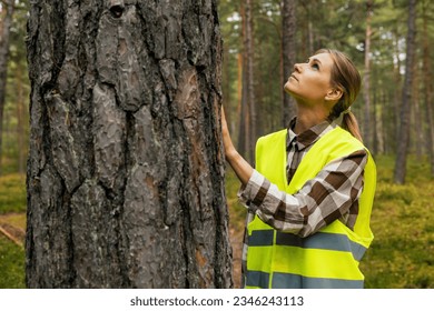 forest inspection and management, renewable resources. female forestry technician checking quality of pine tree