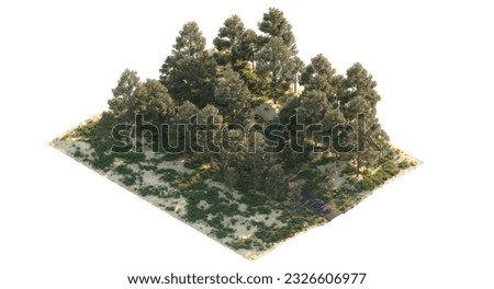 forest isometric isolated on white