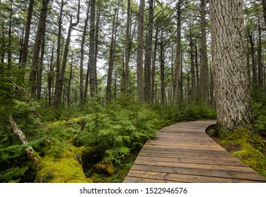 Kejimkujik national park Images, Stock Photos & Vectors | Shutterstock