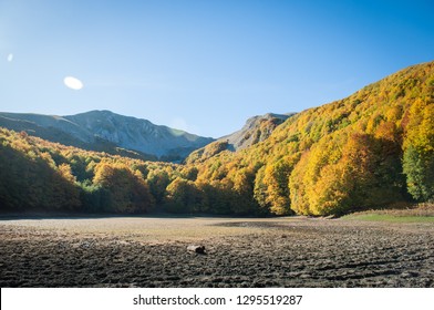 the forest and the lake in the autumn period in full foliage, mountain valley with lake and forest in the autumn period of the foliage