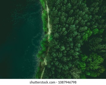 Forest and lake border, toned image from above.