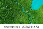 Forest lake landscape. Rainforest ecosystem and healthy environment concept and background, Texture of green tree forest view from above. National park. Green mangrove trees.