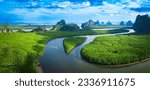 Forest lake landscape. Rainforest ecosystem and healthy environment concept and background, Texture of green tree forest view from above. National park. Green mangrove trees.