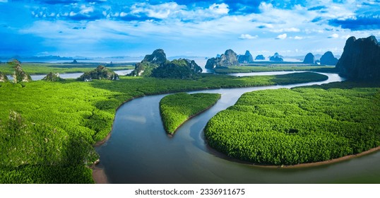 Forest lake landscape. Rainforest ecosystem and healthy environment concept and background, Texture of green tree forest view from above. National park. Green mangrove trees.