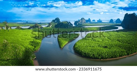 Forest lake landscape. Rainforest ecosystem and healthy environment concept and background, Texture of green tree forest view from above. National park. Green mangrove trees.