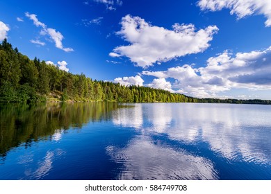 Forest lake on cloudy summer day - Shutterstock ID 584749708