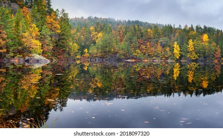 Forest Lake  Panorama With Autumn Foliage And  Reflection In A Rainy Cloudy Day . Blurred Background. Tokke Lake ,Norway