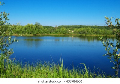 Forest Lake In Summer, Sunny Day, Clear Sky