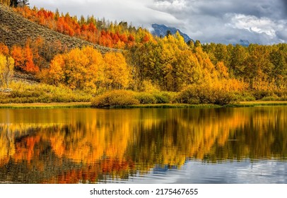 A forest lake surrounded by autumn foliage. Forest lake in autumn. Autumn forest lake. Forest lake in autumn landscape - Shutterstock ID 2175467655