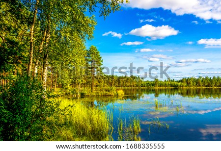Forest lake trees in spring nature