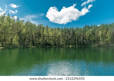 Similar – Image, Stock Photo Dam in the Black Forest