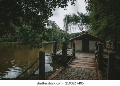 Forest, Lake View And Small Cottage. Dark Photo.