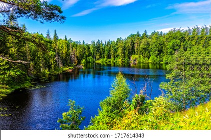 Forest Lake Water In Summer Nature