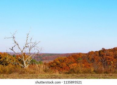 Forest Landscape In Autumn Oklahoma USA